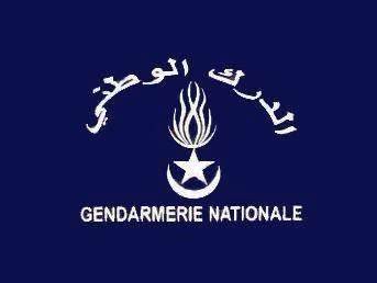 Client Gendarmerie Nationale Mauritanie Logo