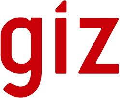 Client giz Logo
